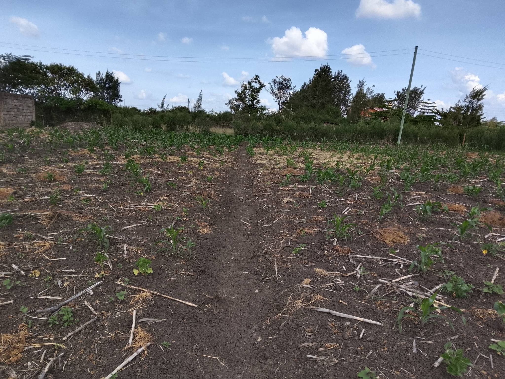 PRIME 100×100 PLOT FOR SALE – RUAI/KAMULU image 5