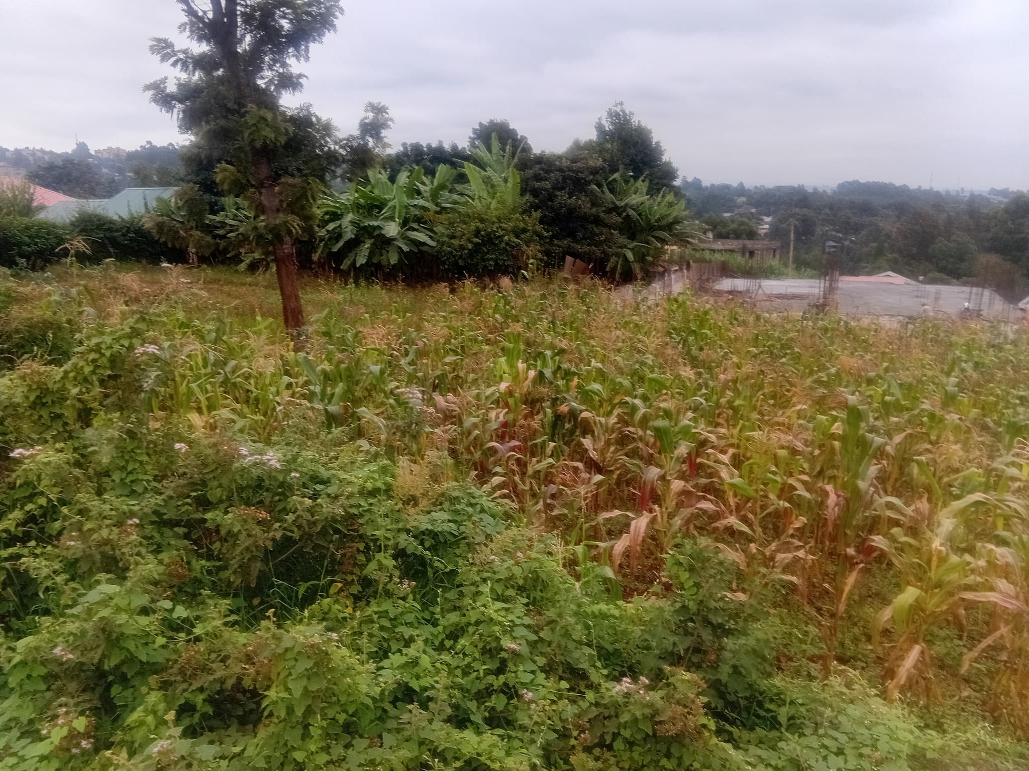 2 PRIME COMMERCIAL PLOTS FOR SALE – GITARU INTERCHANGE, KIKUYU image 2