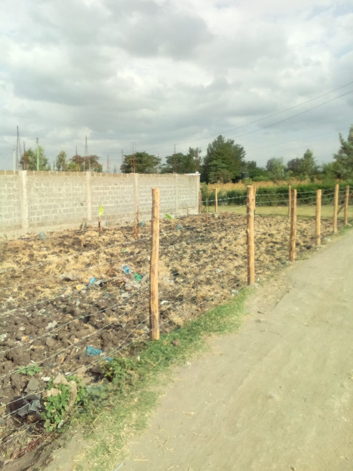 PRIME COMMERCIAL PLOT AT STAGE 26 image 2