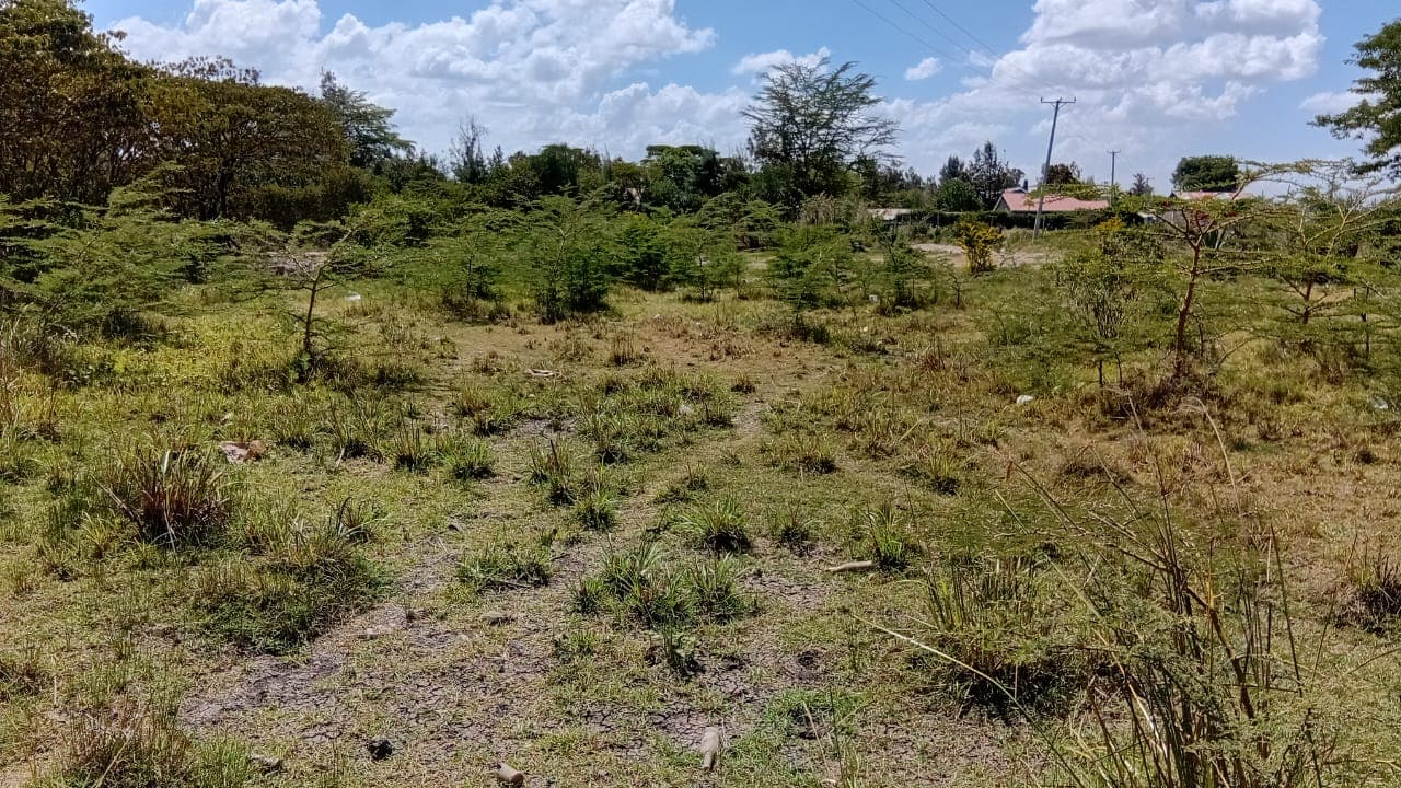 PRIME COMMERCIAL LAND – KANGUNDO ROAD, RUAI image 4