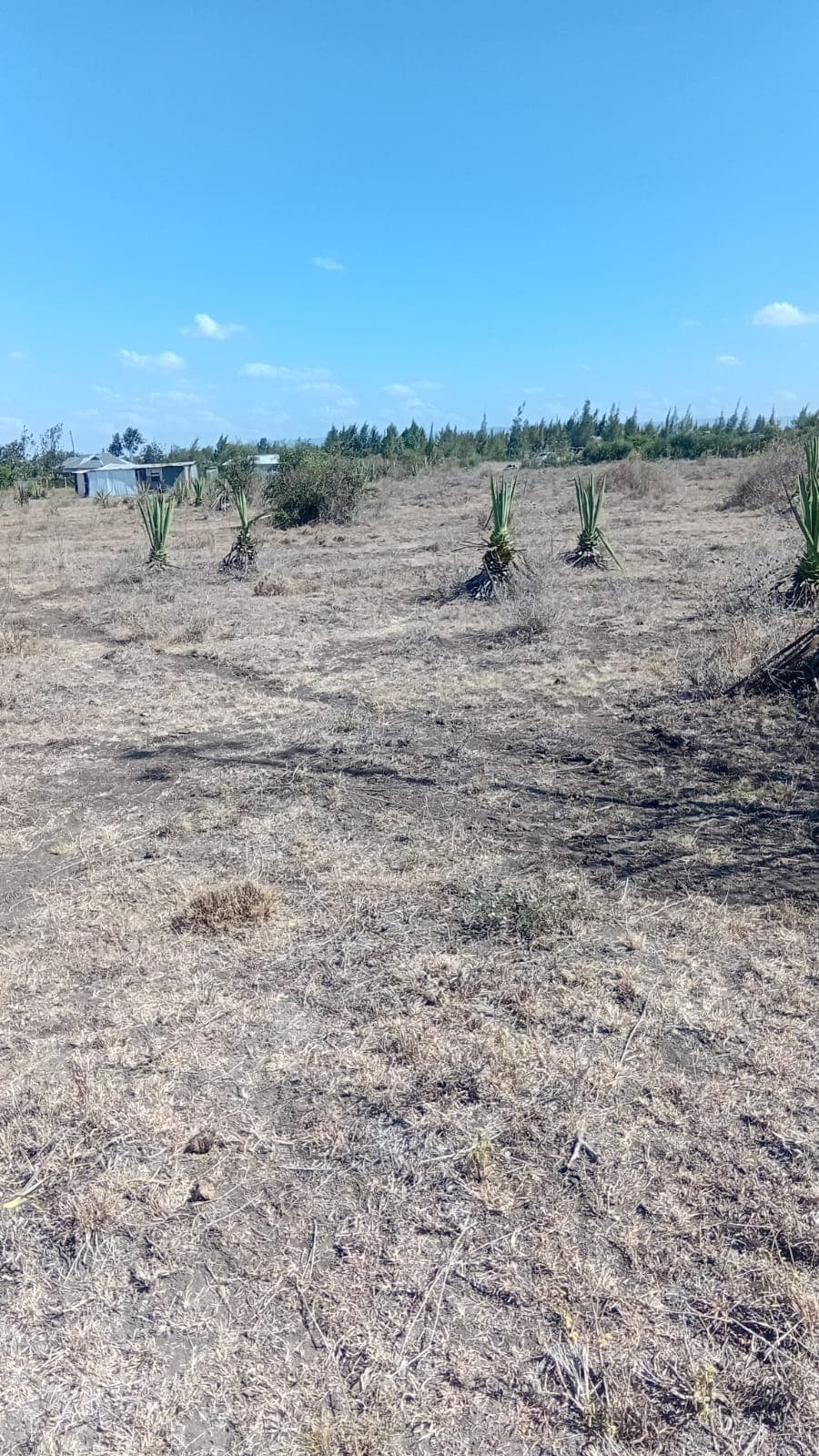 1 ACRE PRIME LAND FOR SALE – KANTAFU