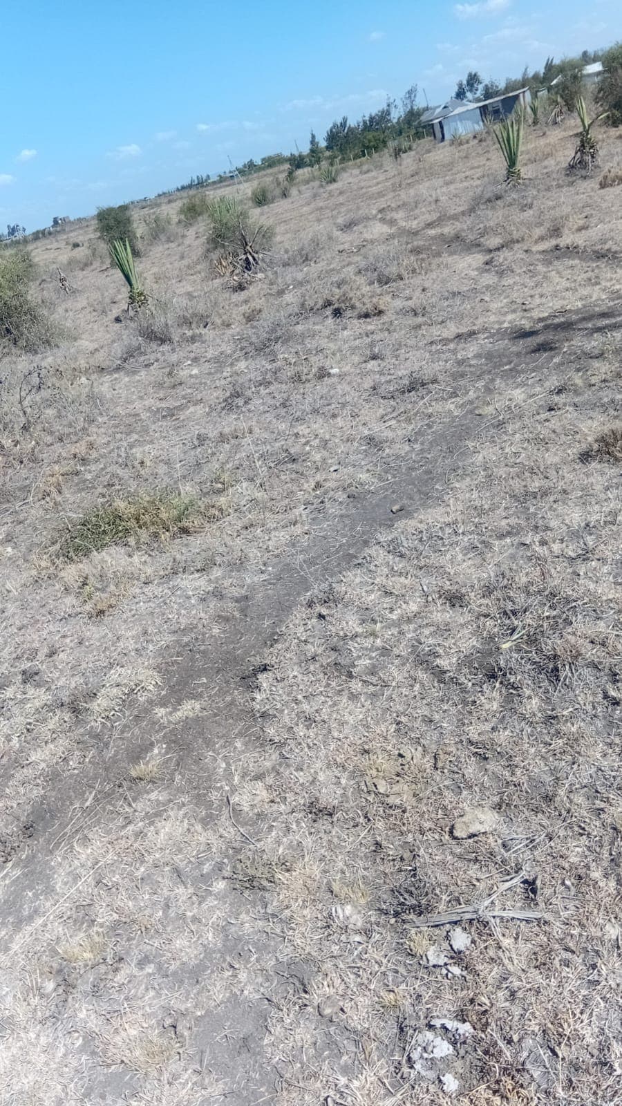 1 ACRE PRIME LAND FOR SALE – KANTAFU image 3