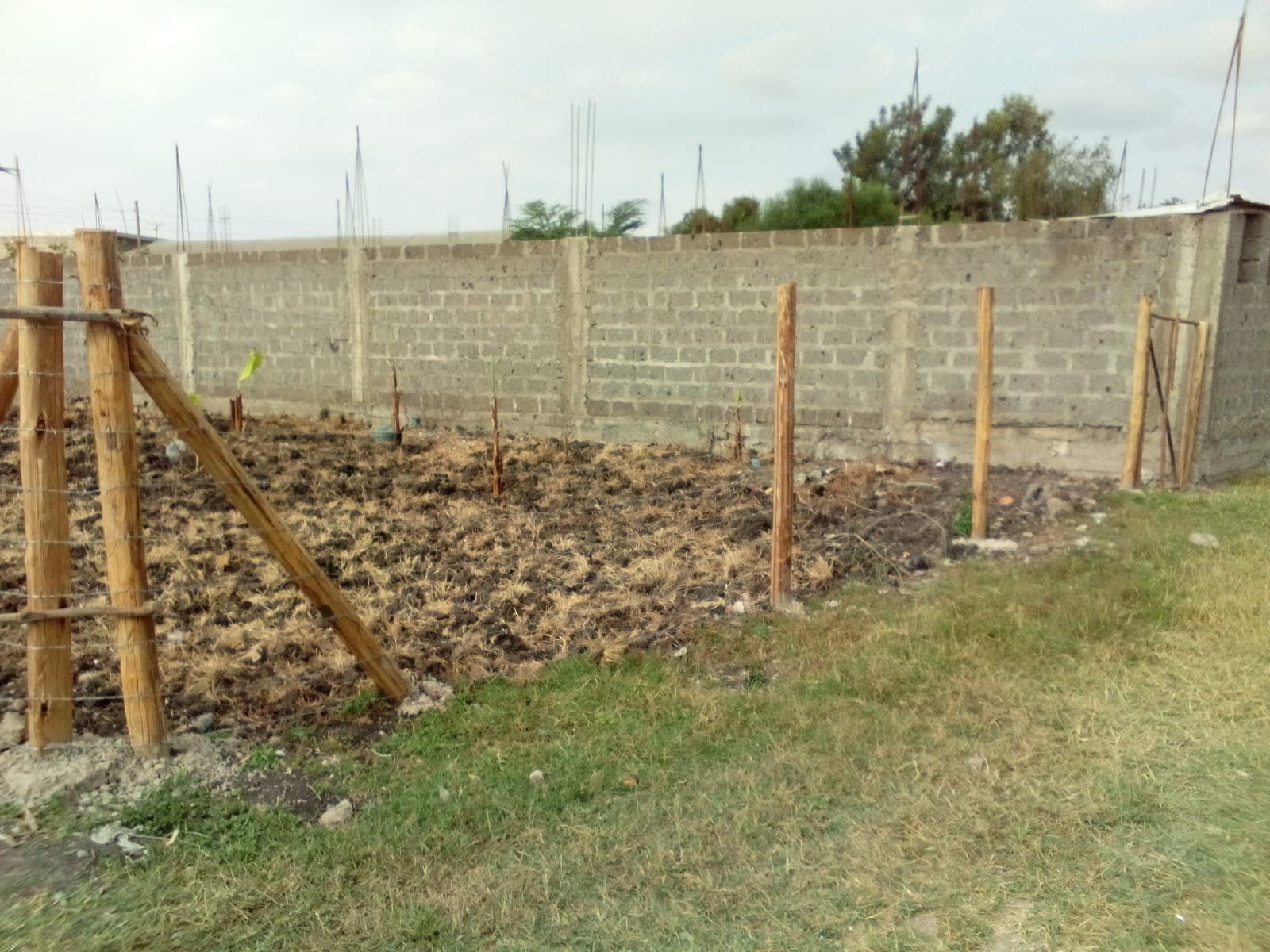 PRIME COMMERCIAL PLOT AT STAGE 26