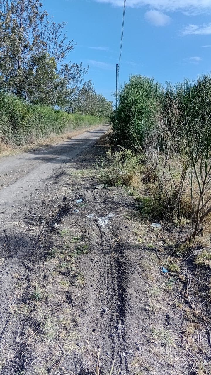 40BY80 PLOT AT KAMULU, NGUNDU image 2