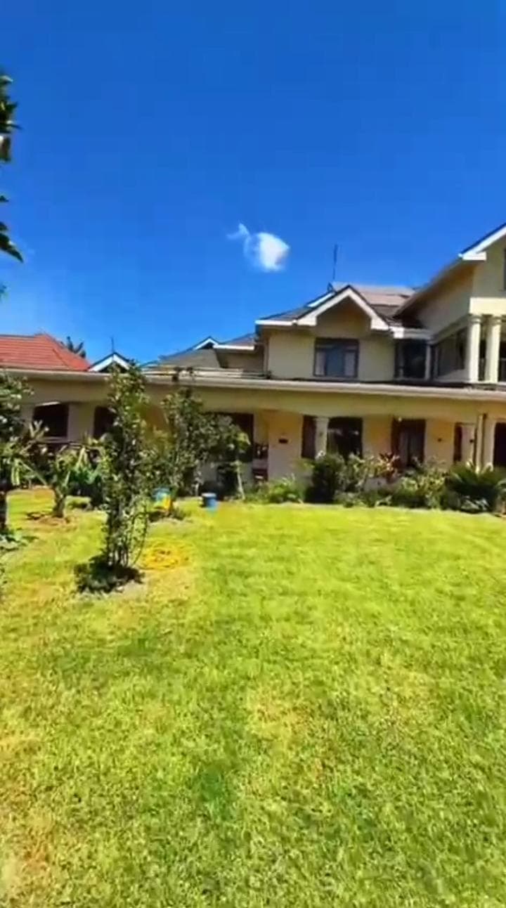 HOUSE image 5